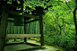 曲径通幽处，禅房花木深。 || 京都寺院