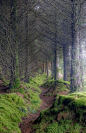 On the path to King’s Cave, Isle of Arran, Scotland