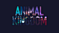 ANIMAL KINGDOM - MAIN TITLES : Design and concept for the main title sequence for Animal KingdomCreative Director - Erin SarofskyStudio - SarofskyProducer - James BiarbiazClient -TNT