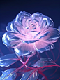 peace_and_love_Transparent_glass_texture_peony_solid_color_outl_2