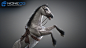 nonecg-3d-3d-animated-horses-025.jpg (1920×1080)