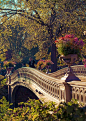 Bow Bridge in Central Park Manhattan, New York City Only Epics -> Follow Epic Travel: 