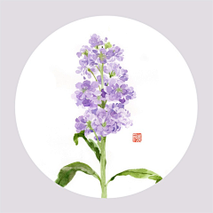 ℳ๓筱熙采集到花