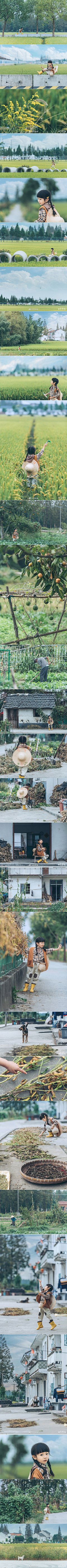 、来日方长🚬采集到乡间田野