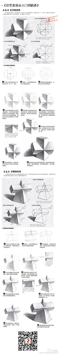 mimosifolia采集到绘画