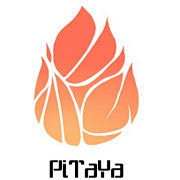 pitaya logo - 有道图片搜索