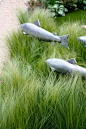 fish in the grass