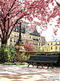 恬静的巴黎街头公园一角，似乎闻到沁人心脾的花香