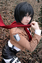 Mikasa Ackerman