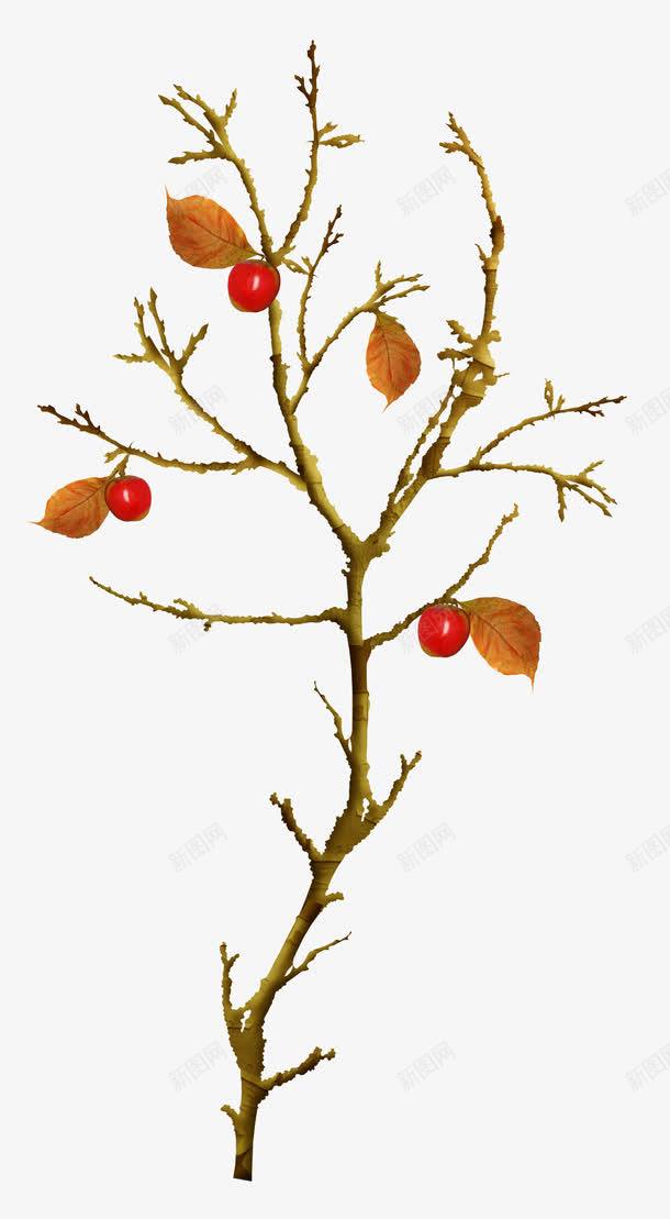 1fc7197a63c8051a8efacf36c78dc0a339009df0a055-M6vfG6