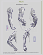 anatomy for sculptors-174