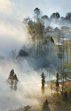 小呆呆✌采集到摄影风景