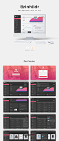 仪表板网络用户 UI界面设计工具包，丰富和美丽的元素的创意 Brinhildr Web UI Kit UI设计 网页设计
