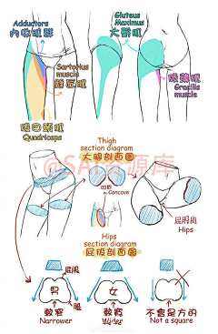 梦中我有一头迷人长发采集到绘画结构