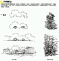 手绘配景的画法(草,花,树,水)画法教程步骤图