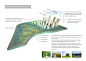 Planning Design - Urban Ecological Park