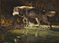 用颜料来雕塑生命：美国写实画家格雷格的野生动物绘画作品