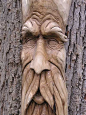 Tree carving of a face... Kathy Bob shoudl do this!!!