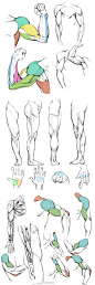 手、手臂、腿、上半身动态与肌肉、体块的画法参考，很6的素材！画画画！转需！#绘画参考# ​​​​
