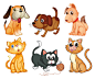 卡通猫和卡通狗图片矢量素材(编号:20130523101521)