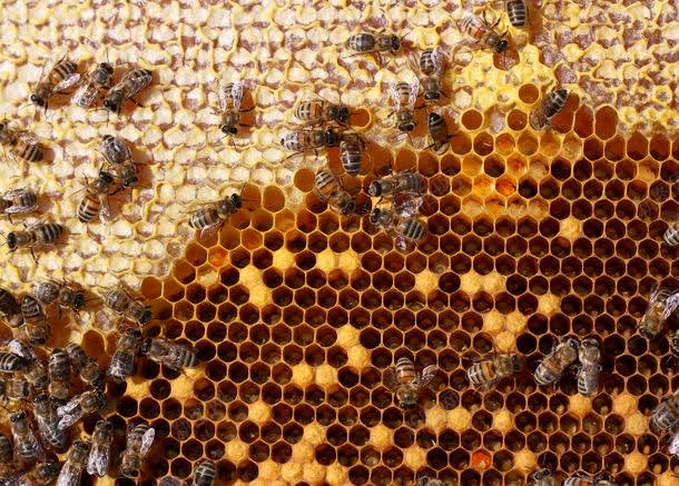 2041ca93d4ee20501972d468f0520461284beb0a12eaf-jlBoS9