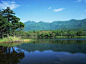 北海道夏季风景