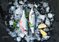 Raw seabass with lemon and rosemary on chipped ice over dark stone backdrop by Anna Ivanova on 500px