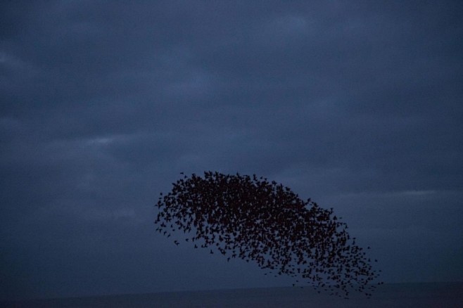 Rinko Kawauchi摄影作品 -...