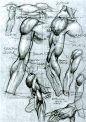 SIMONE BIANCHI - ANATOMICAL DRAWINGS