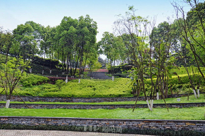 重庆茶园新区·同景公园