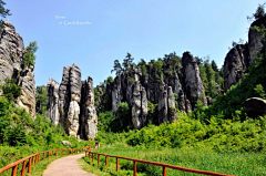 J大马哈鱼采集到道路/path