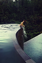 Ubud - Bali - Indonesia @hotel_pictures