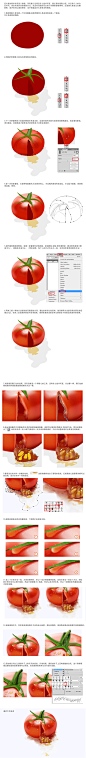 ”番茄“小教程 - ICONFANS|图标粉丝网|专业图标界面设计论坛,软件界面设计,图标制作下载,人机交互设计