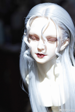 Jurinki采集到bjd