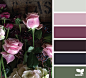 flora palette