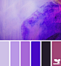 调色板紫色