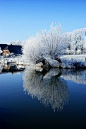 浪漫雪景