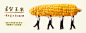 首契玉米-一米市集