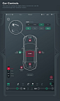 Tesla Interface Concept