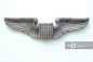 Winged Insignia