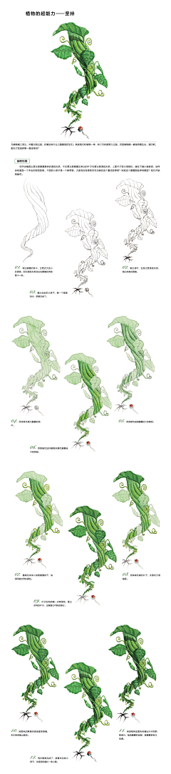 依米虫虫采集到插画❀