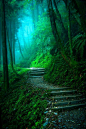 Into the Mystic, The Enchanted Wood photo via jennifer #美景#