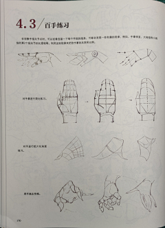 脆皮胡萝卜采集到异次元学识