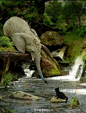 这只大象想帮助这个困在河中央的小猫上岸。好有爱的大象，好有爱的一瞬间。