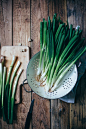 Green Onions | Molly Yeh