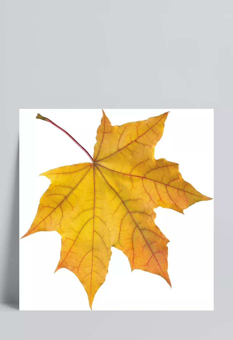 2165c93f9ee478662aea139f00a56b716a1986677ac8-f8RITT