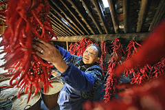 禾女鬼王令采集到乡村