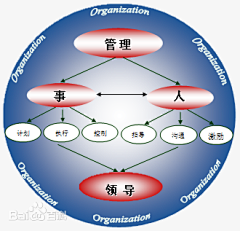 空心白菜不要钱采集到文章