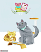 猫粮猫罐头宠物食物波斯猫我和萌宠插画 萌宠动物 家庭宠物