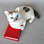 日本手工爱好者nekolabo的一组手工羊毛毡猫咪。一只只灵动的猫咪，爱意萌萌。这得有多爱猫啊。